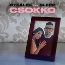 Csokko - ByeAlex / Slepp